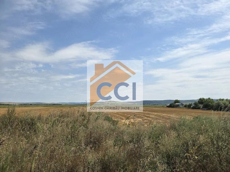 Teren intravilan 50.000 mp, Bacau, ?oseaua Hol - 7