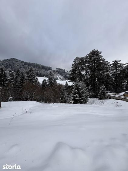 Teren de 580 mp, în Turcheș