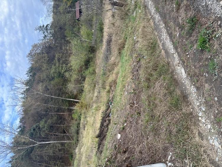 Teren Construcții intravilan de 1547 mp, în Budești