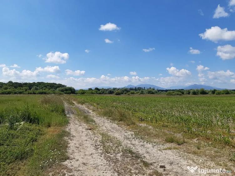 Teren agricol Podu Oltului la limita UAT Harman si UAT Prejmer 1,5 euro mp - 2