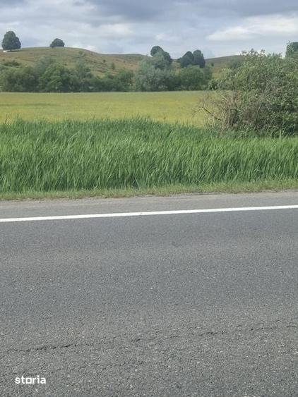 Teren de 25 mp, în Central