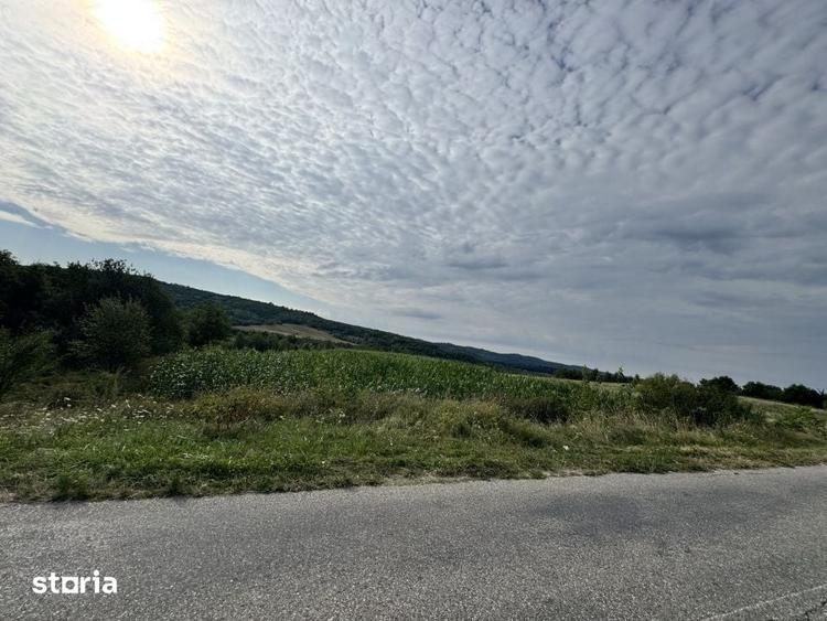 Teren de 15000 mp, în Mihăești