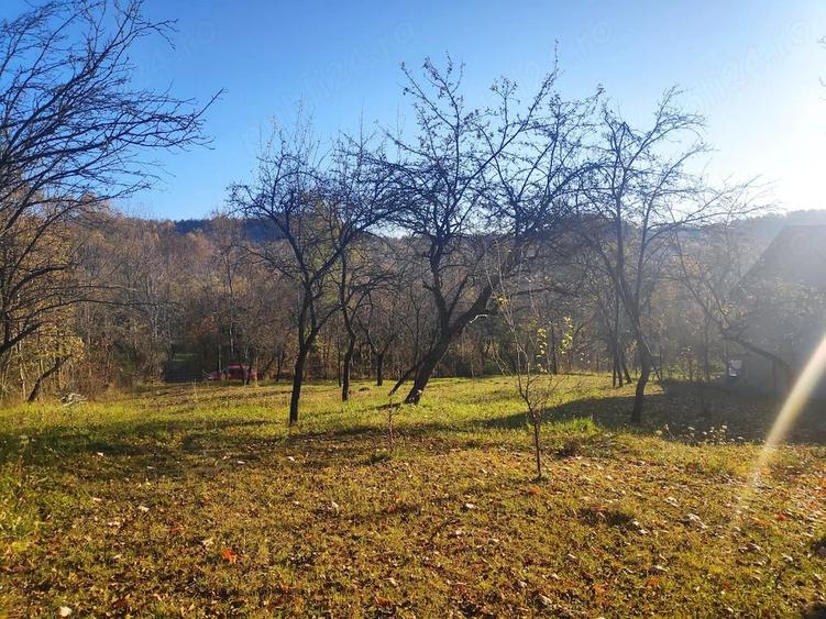 Teren de 1427 mp, în Cucuteni