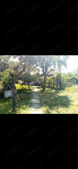 Casă cu Teren 2520 Mp în Moreni