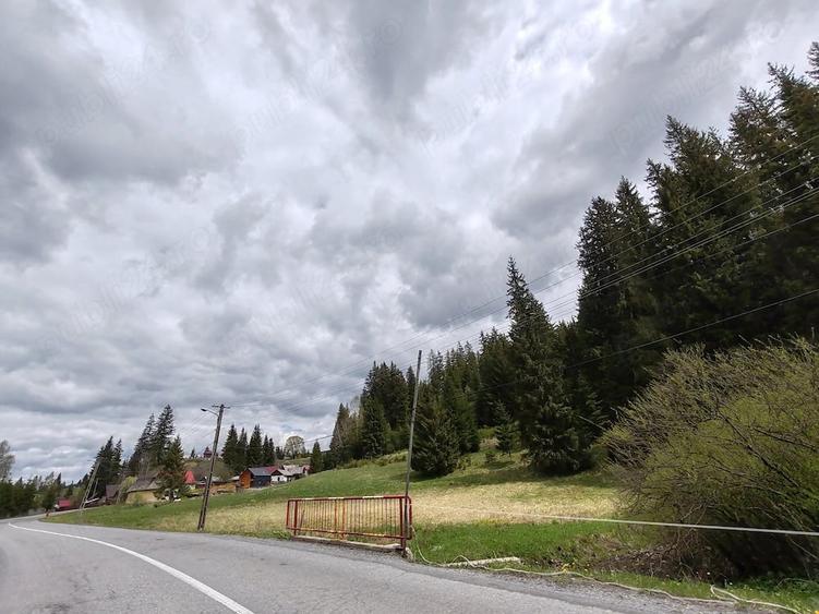 Teren de 10238 mp, în Vale