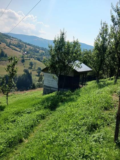Case si teren de vanzare ALBAC, ALBA - 6