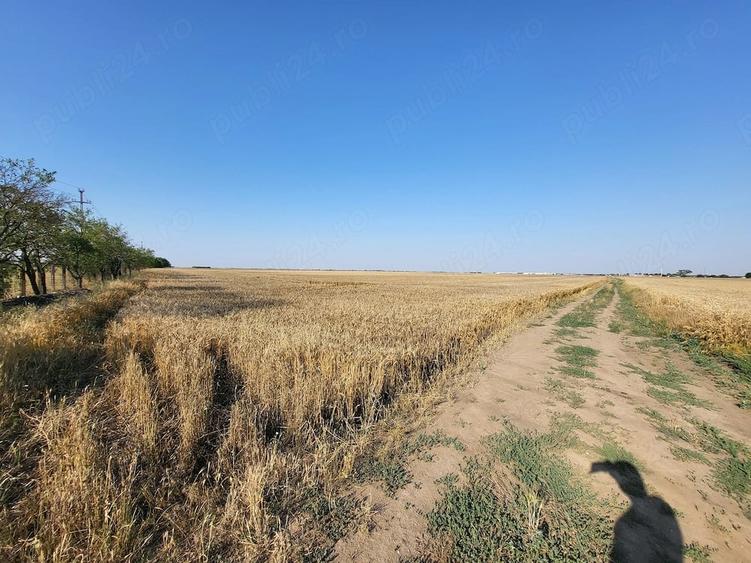 Vand teren extravilan arabil - 1