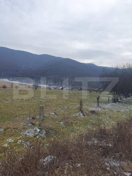 Teren intravilan de 5200 mp, în Vest