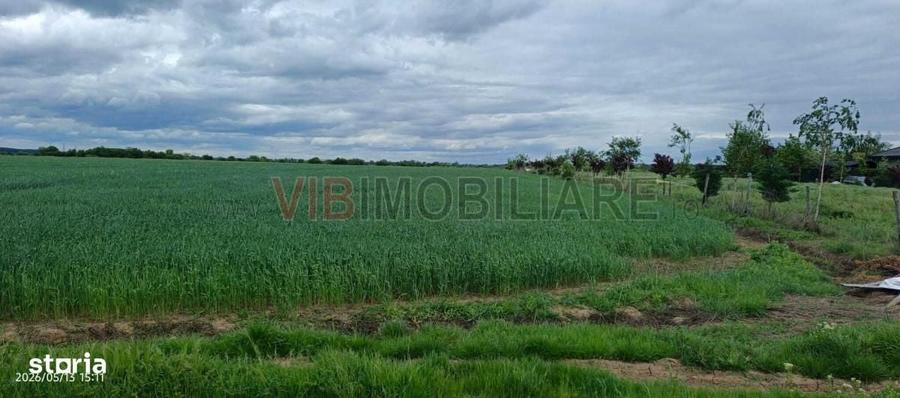 Teren Intravilan Zona Rezidentiala, Ideal Investitie - 2