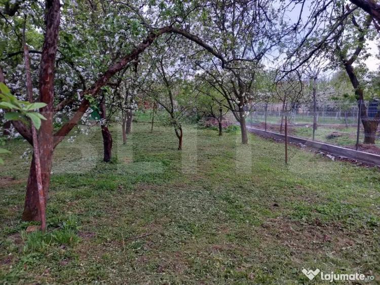 Teren de 600 mp, în Bercu Roșu