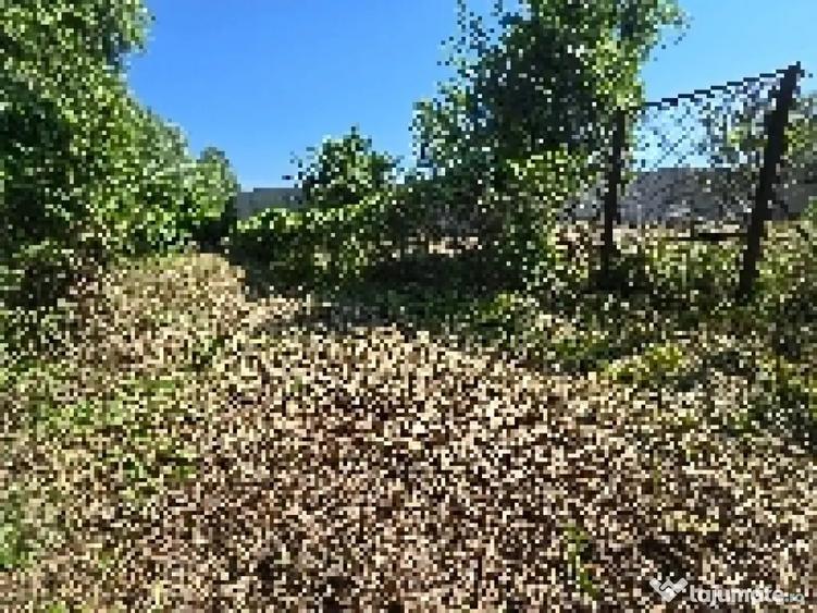 Teren intravilan 942 mp cu acces privat la raul Bistri?a - 2
