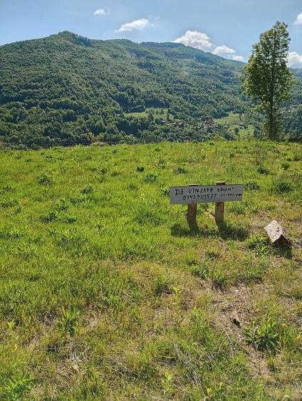 Teren de 2000 mp, în Central