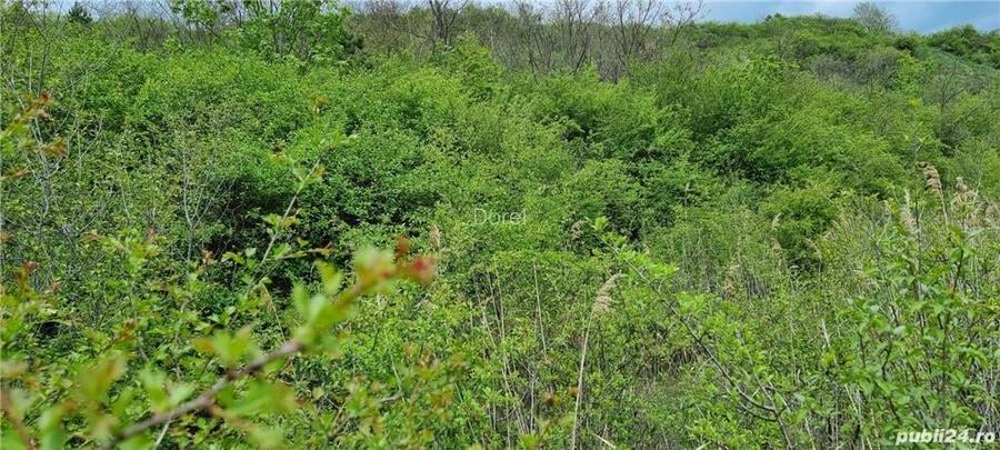 Vand teren extravilan in Bardesti, 2200mp, doua parcele, 7000 euro