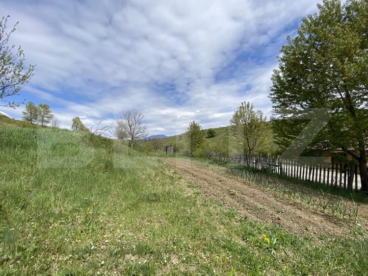 Teren Construcții intravilan de 2520 mp, în Livezile