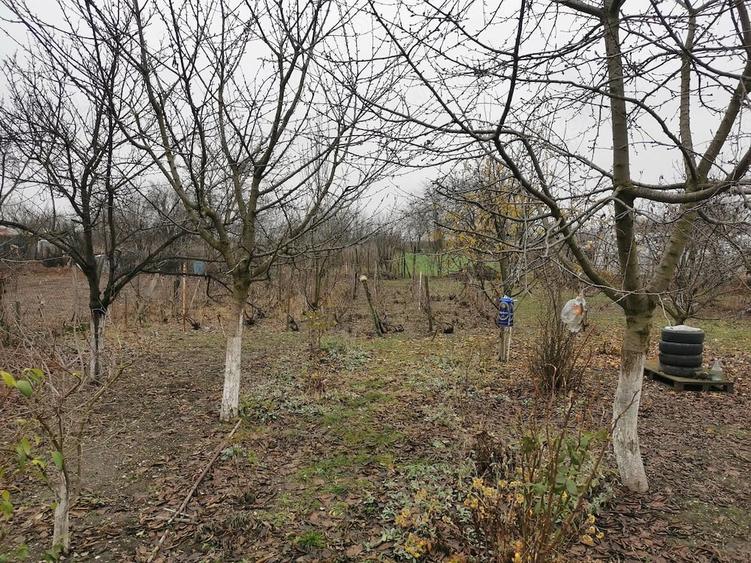Casă cu Teren 1200 Mp în Gratia