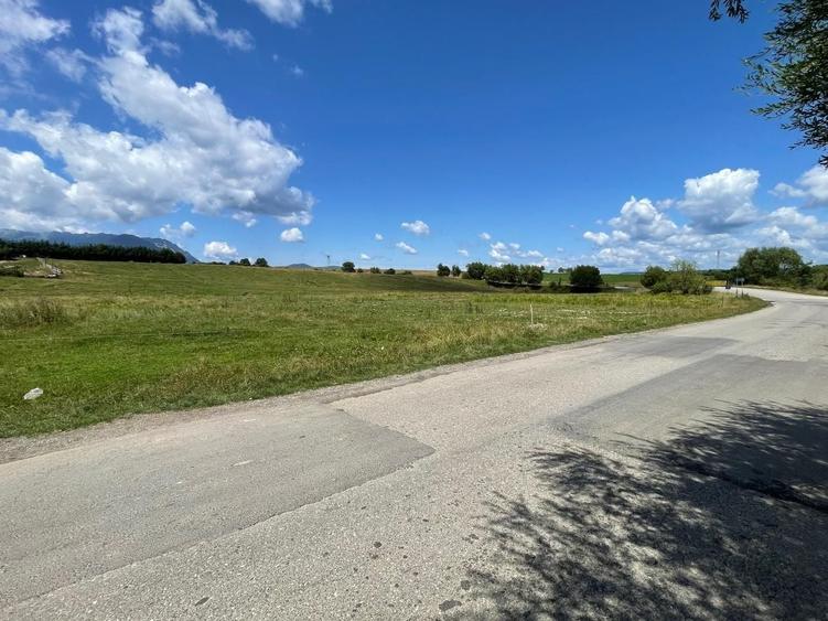 Teren Construcții intravilan de 5000 mp, în Sohodol