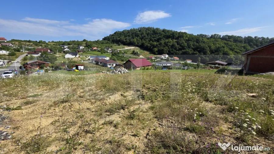 Teren extravilan, cu autorizatie de constructie casa, 875 mp - 3
