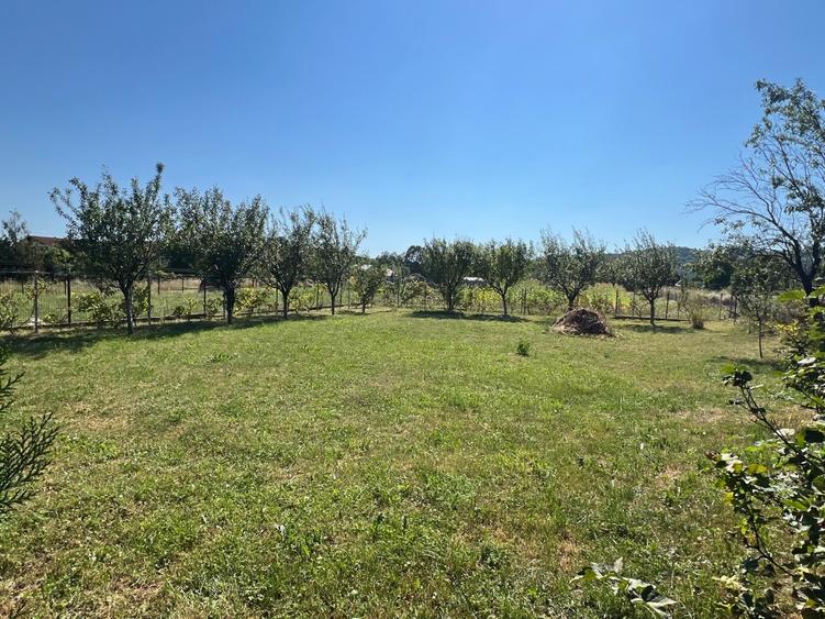 Casă individuală cu 6 camere cu Teren 1593 Mp în Brebu