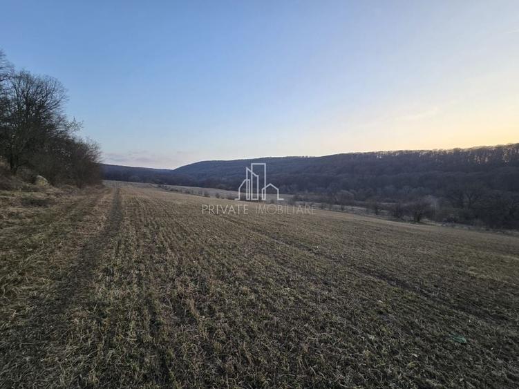 Teren agricol extravilan de 28800 mp, în Sud