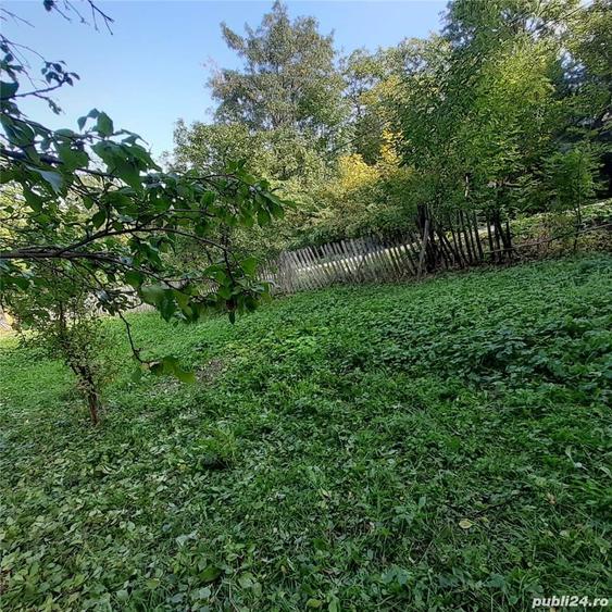 Teren de 2500 mp, în Pietriceaua
