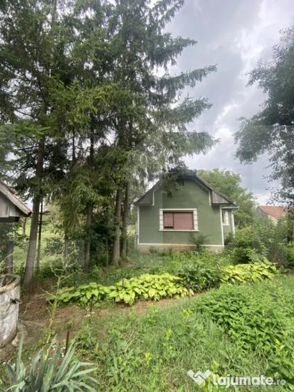 Casă cu 3 camere cu Teren 2100 Mp în Central