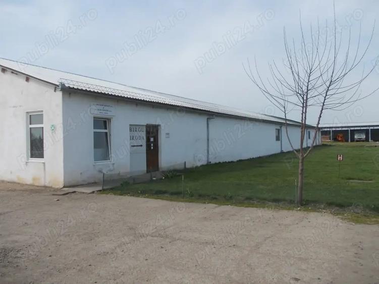 Spațiu comercial, de 100,000 mp, în Centura