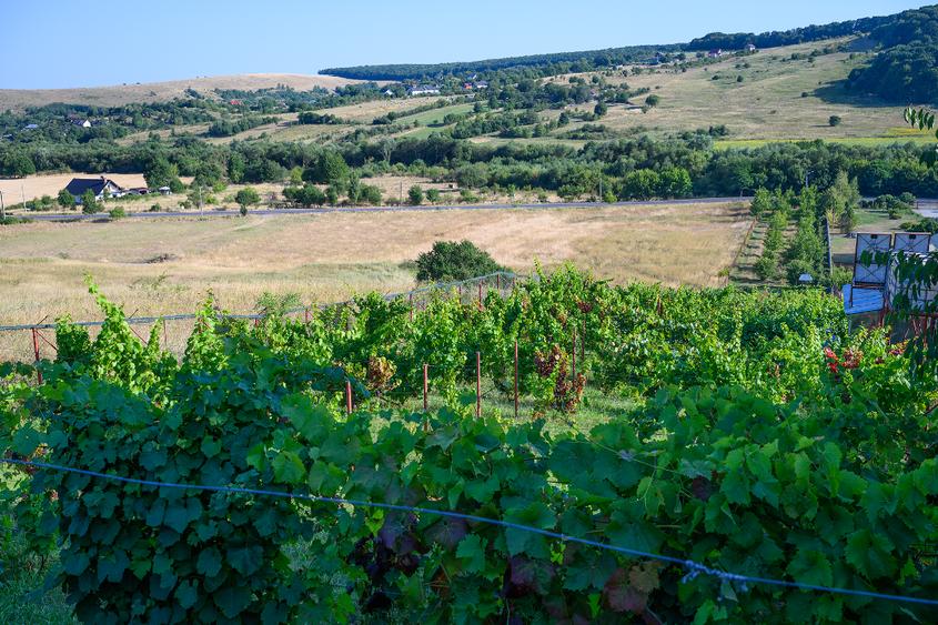Teren intravilan de 3600 mp, în Dobreni