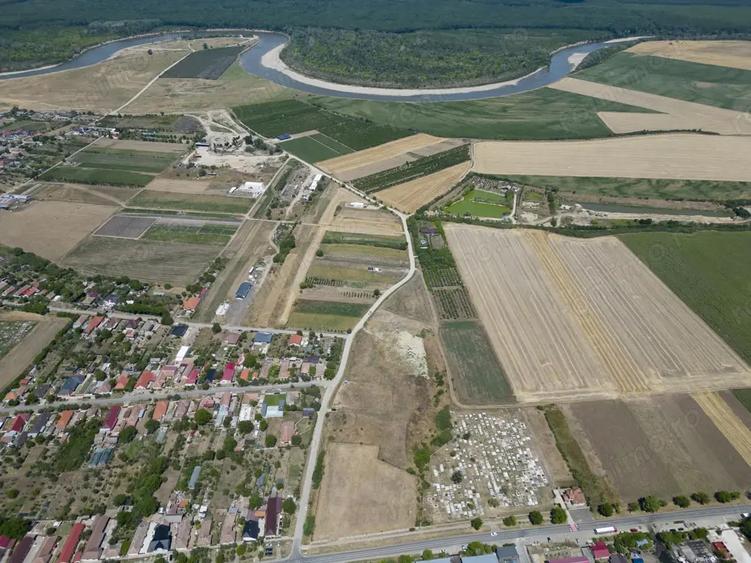 Teren de 6005 mp, în Zădăreni