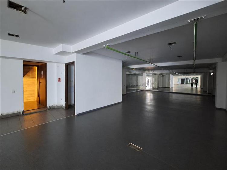 Spațiu comercial, de 450 mp, în Plopilor