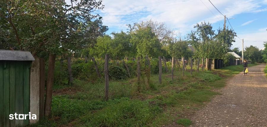 Teren de 1265 mp, în Strunga