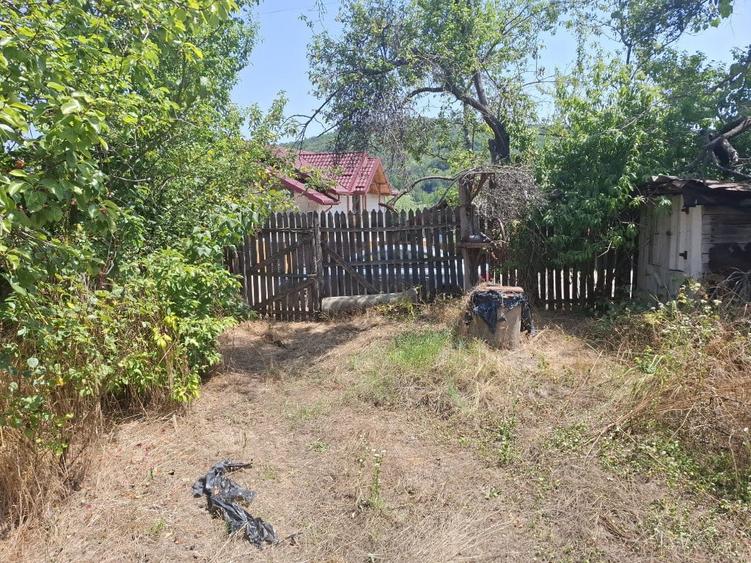 Casa cu teren sat Radu?e?ti, com. Ciomage?ti, jud. Arge? - 2