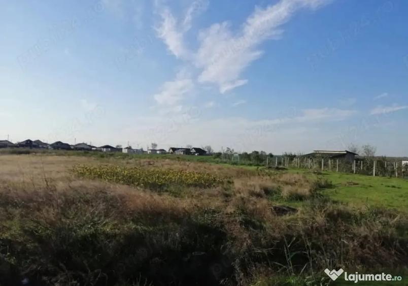 Teren de 1312 mp, în Vasile Alecsandri