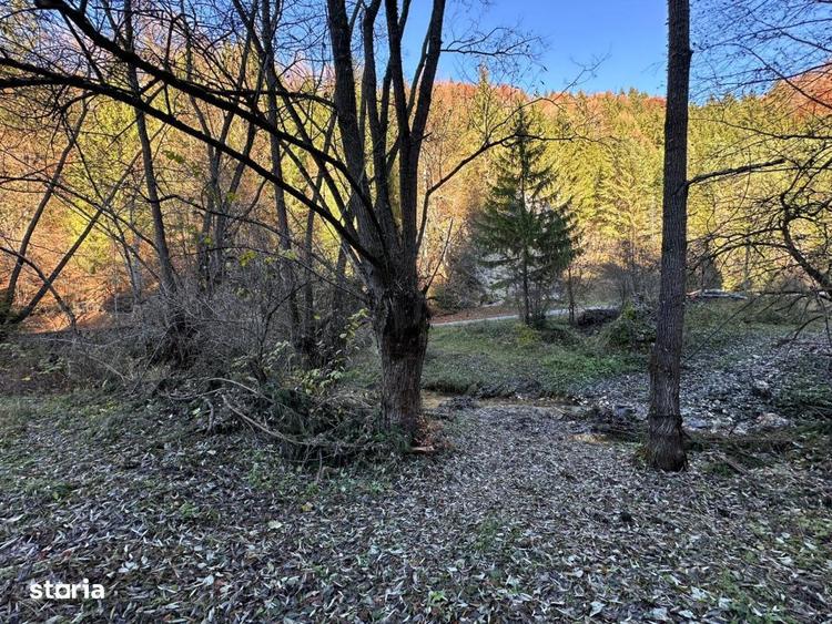 Teren de 2882 mp, în Dâmbovicioara