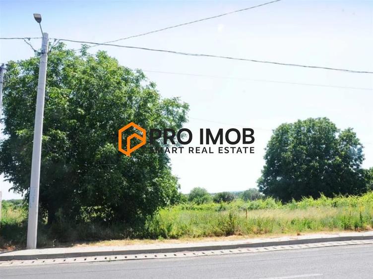 Teren intravilan de 7309 mp, în Cotești