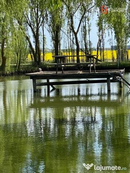 Casă cu 6 camere cu Teren 5880 Mp în Giarmata