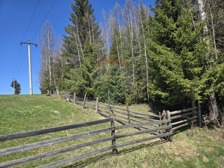 Teren Construcții intravilan de 18580 mp, în Șaru Dornei