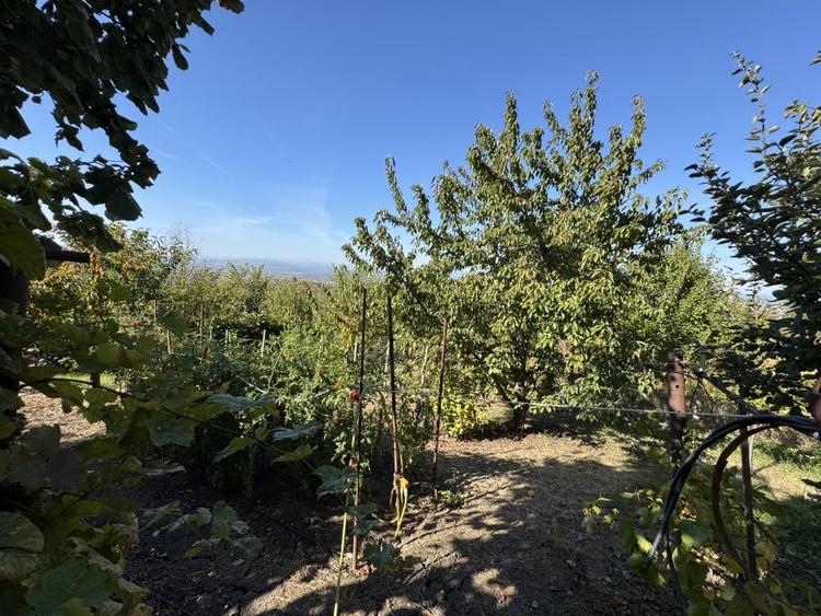 Casă individuală cu 6 camere cu Teren 1570 Mp în Seciu
