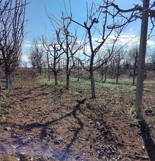 Casă cu Teren 220 Mp în Olăreni