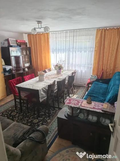 Casă cu 2 camere în Jiu-Paroșeni