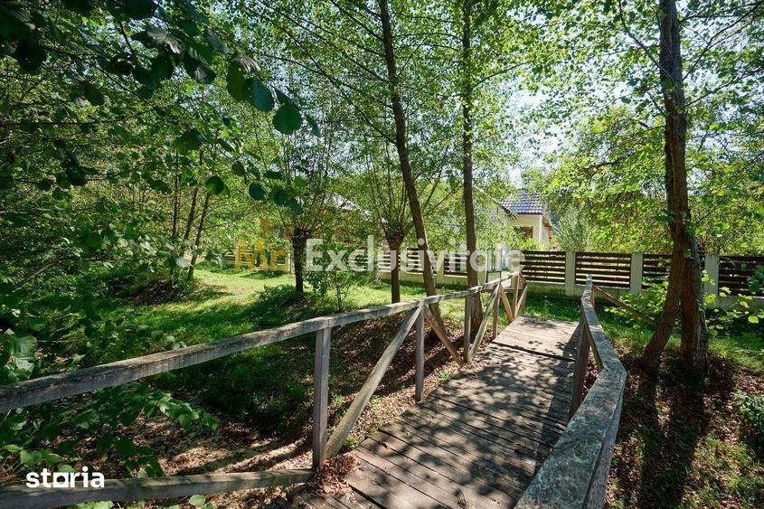 Casă cu 4 camere cu Teren 1586 Mp în Coșești