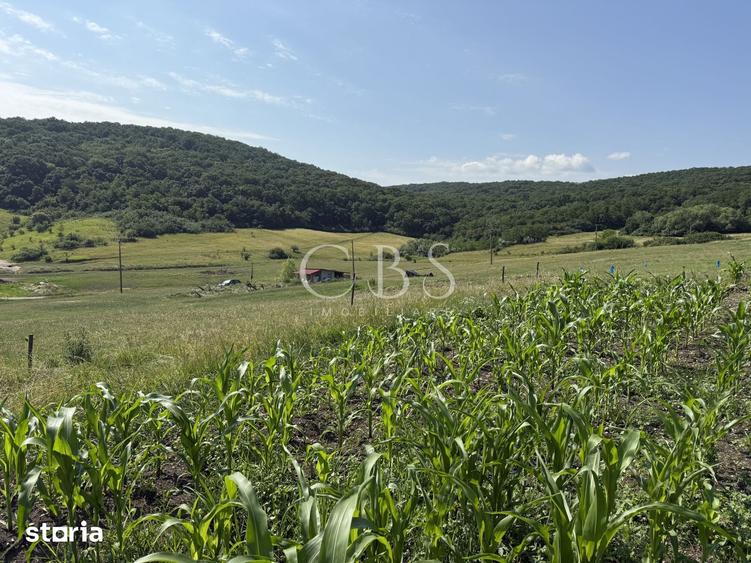 Teren de 5800 mp, în Dezmir