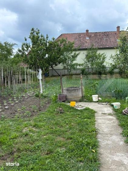 Casă cu 3 camere cu Teren 798 Mp în Crăciunești