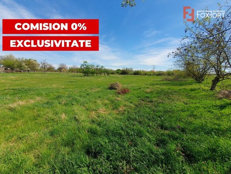 Teren Construcții intravilan de 3000 mp, în Pădureni (Jebel)