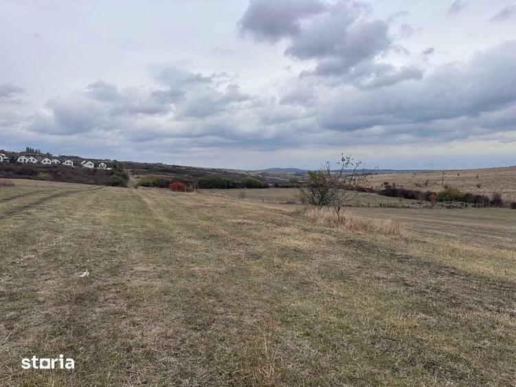 Teren de 3700 mp, în Roșia