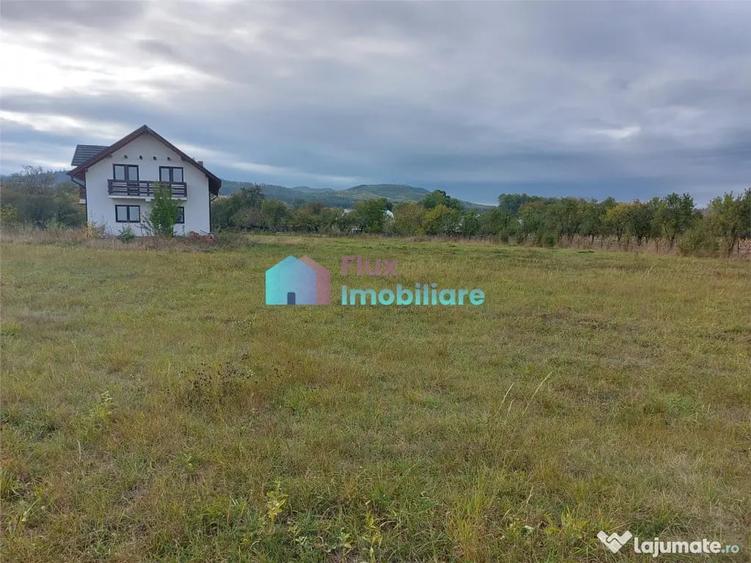 Casă cu 4 camere cu Teren 8450 Mp în Central