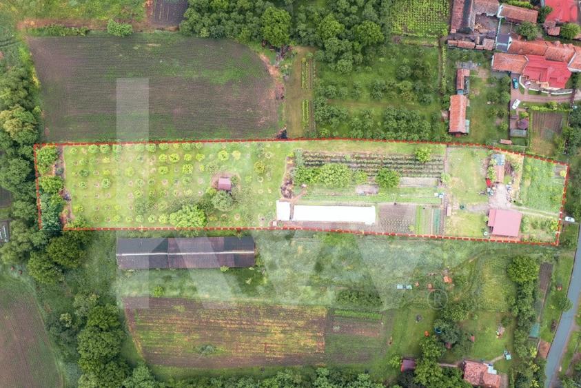 Teren Construcții intravilan de 7979 mp, în Delenii