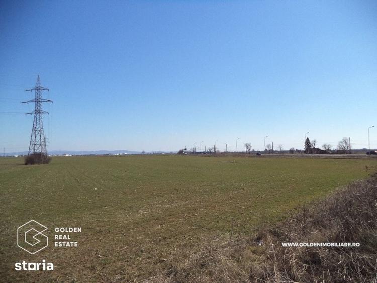 Teren de 16055 mp, în 6 Vânători