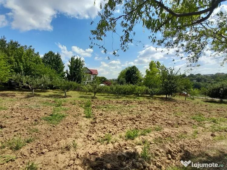 Casă cu 5 camere cu Teren 2040 Mp în Central