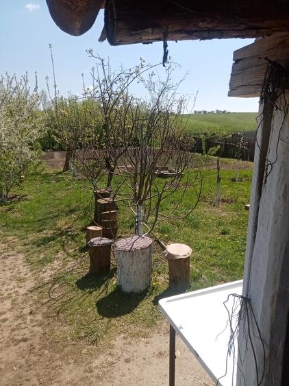 Teren de 700 mp, în Băcălești