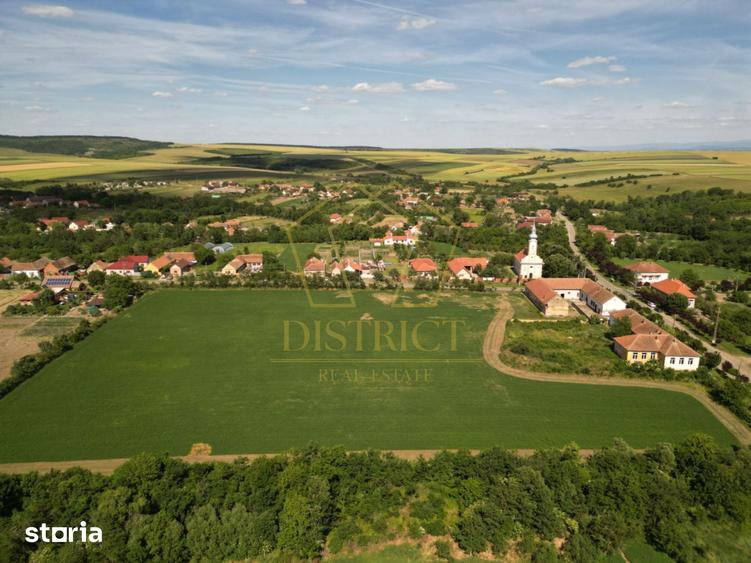 Teren de 16716 mp, în Traian Vuia